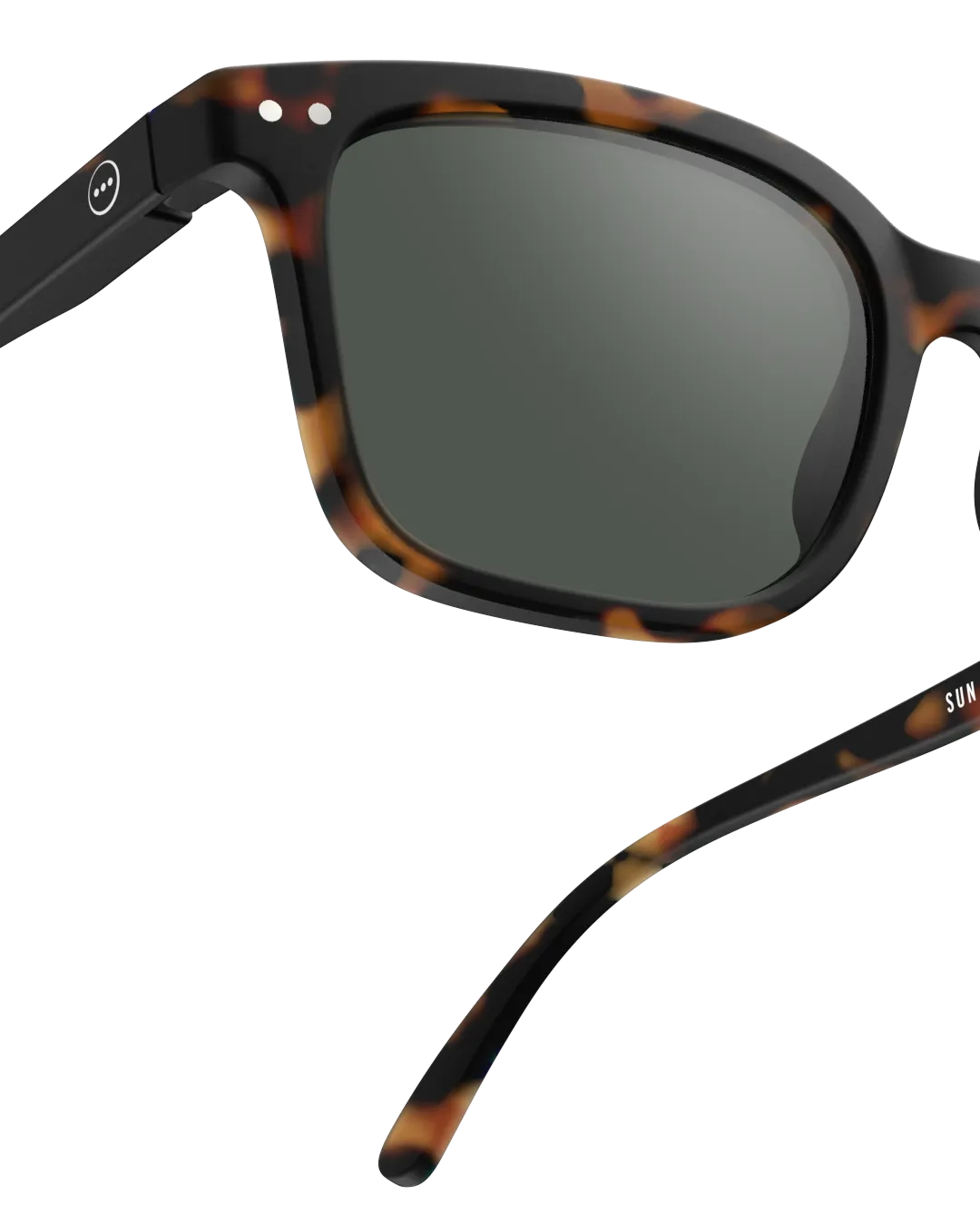 Adult Sunglasses | #L Tortoise