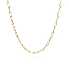 Elegant Anna Beck Elongated Box Chain Necklace