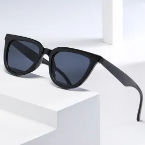 Casual Thick Rimmed Full Frame Sunglasses